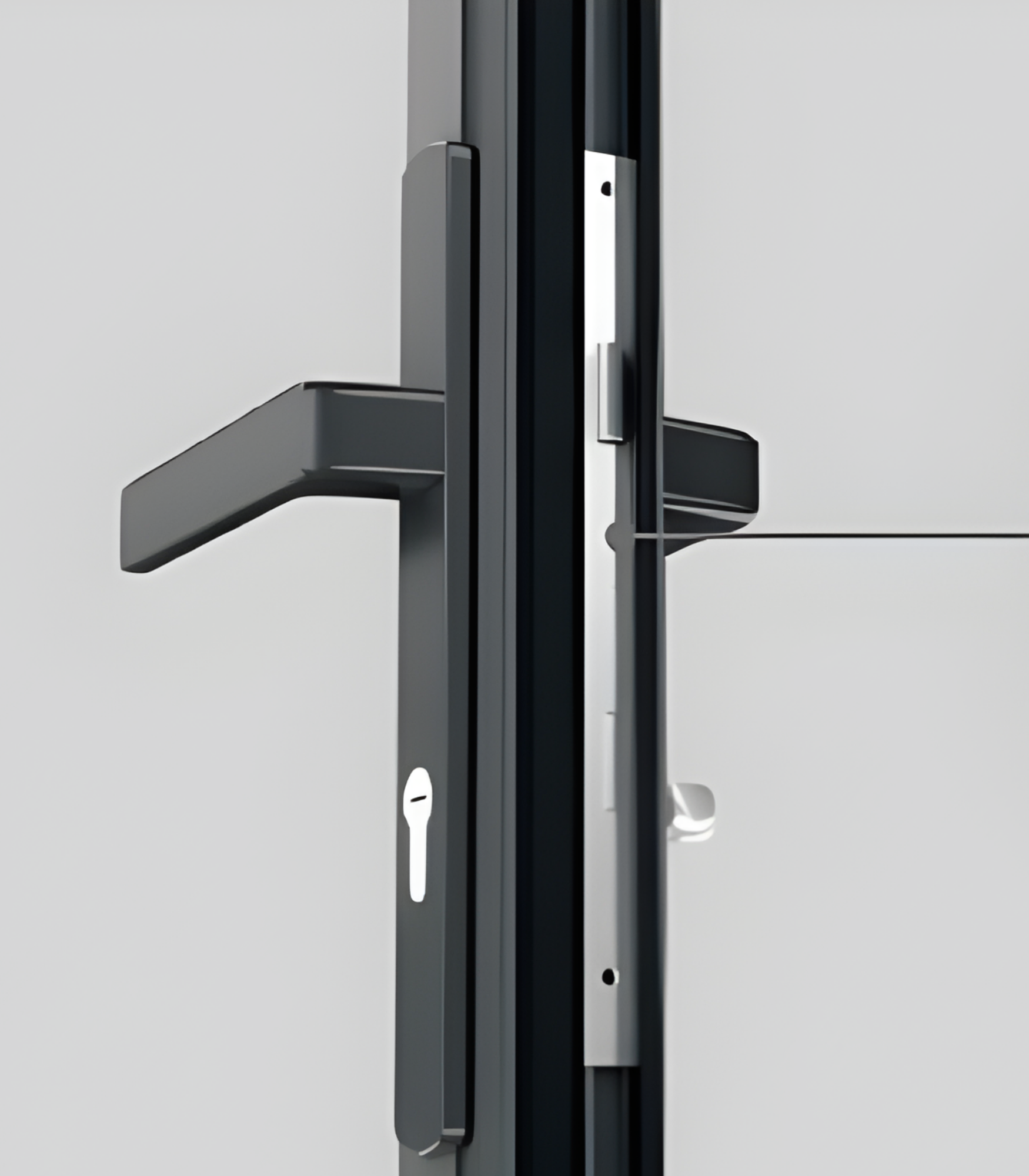VLX 100 Swing / Entry Door in Delray Beach, FL | TruePane Windows & Doors - detail 5